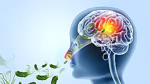 ಕೇರಳ | ಮೆದುಳು ತಿನ್ನುವ ಅಮೀಬಾ ಸೋಂಕಿಗೆ ವ್ಯಕ್ತಿ ಸಾವು 