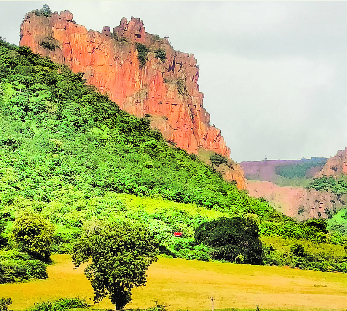 ಬಂಡ್ರಿ ಕಾಡಿನ ಪ್ರದೇಶ 