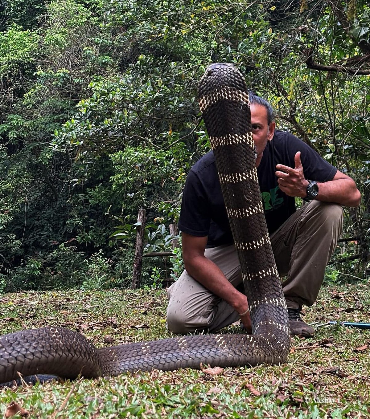 'ಕಾಳಿಂಗ ಮನೆ"ಯಿಂದ ಸರ್ಪಗಳ ಶೋಷಣೆ: ಅರಣ್ಯ ಸಚಿವರಿಗೆ KRS ಪಕ್ಷ ದೂರು