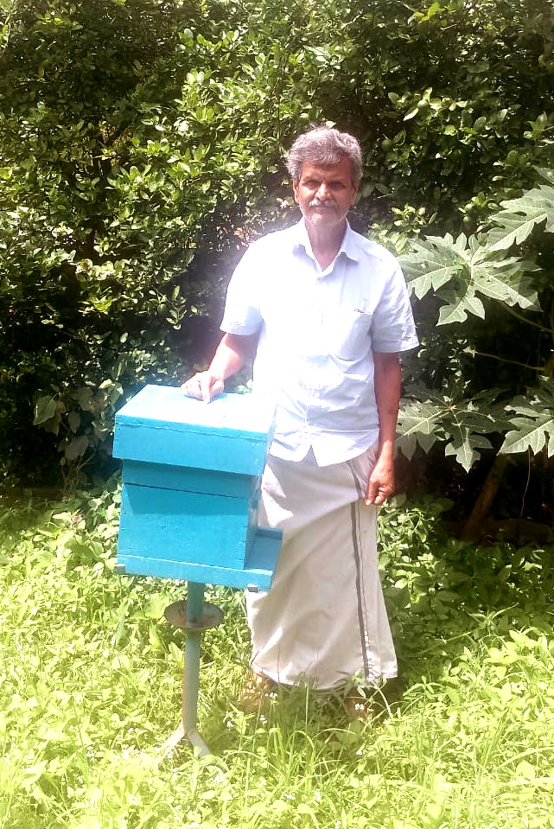 ತೋಟದಲ್ಲಿ ಅಳವಡಿಸಿರುವ ಜೇನು ಸಾಕಣೆ ಪೆಟ್ಟಿಗೆ