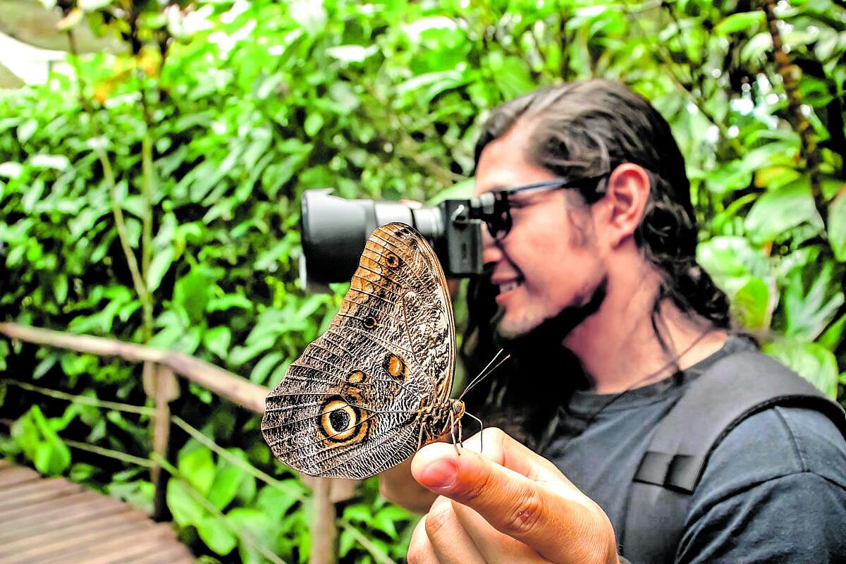 ವಿಶ್ಲೇಷಣೆ: ಸಂಶೋಧಕರ ‘ಅರಣ್ಯ’ರೋದನ