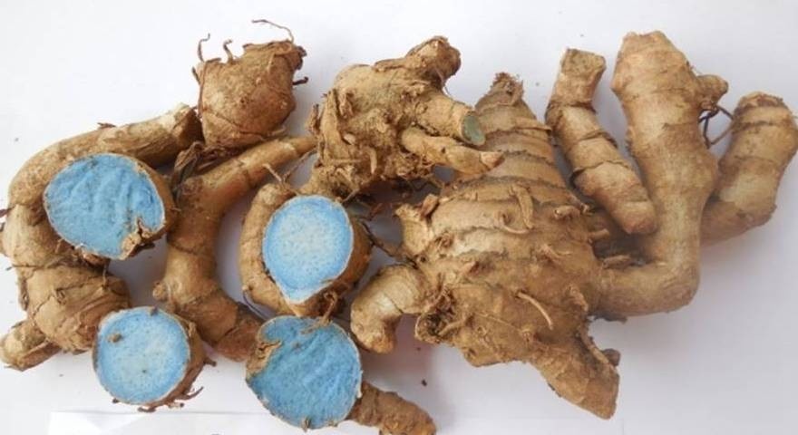 ಕಪ್ಪು ಅರಿಶಿಣದ ಗೆಡ್ಡೆ