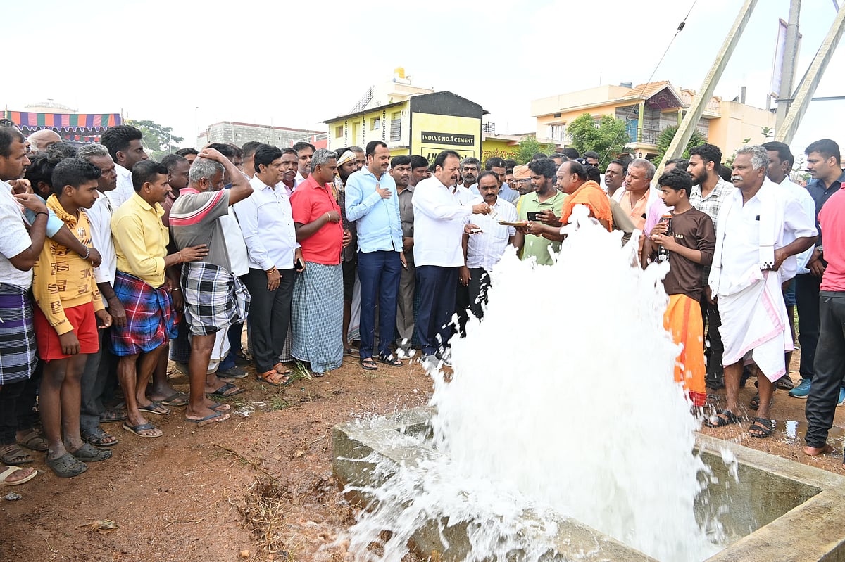 ನಾಗಮಂಗಲ | ಹೇಮಾವತಿಯಿಂದ ಕೆರೆ, ಕಟ್ಟೆಗಳಿಗೆ ನೀರು: ಎನ್‌.ಚಲುವರಾಯಸ್ವಾಮಿ