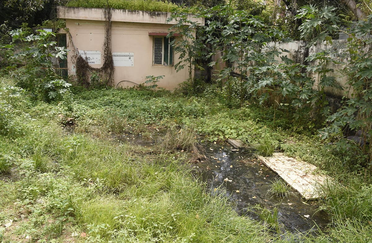 ಯಾದಗಿರಿ | ತಾಯಿ, ಮಕ್ಕಳ ಆಸ್ಪತ್ರೆ ಆವರಣದಲ್ಲಿ ಕೊಳಚೆ ನೀರಿನ ಚರಂಡಿ