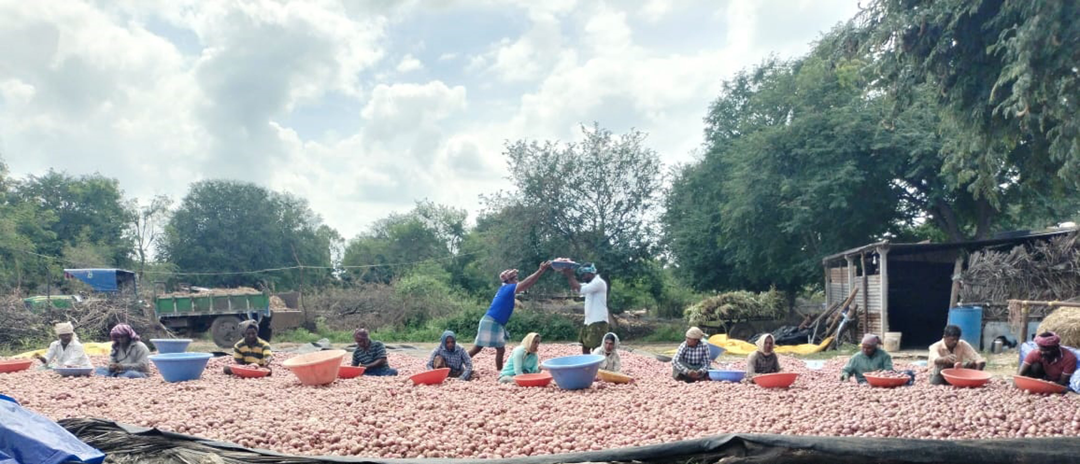 ಹೂವಿನಹಡಗಲಿ ತಾಲ್ಲೂಕು ಉತ್ತಂಗಿಯಲ್ಲಿ ಕಾರ್ಮಿಕರು ಈರುಳ್ಳಿ ಗ್ರೇಡಿಂಗ್ ಮಾಡುತ್ತಿರುವುದು
