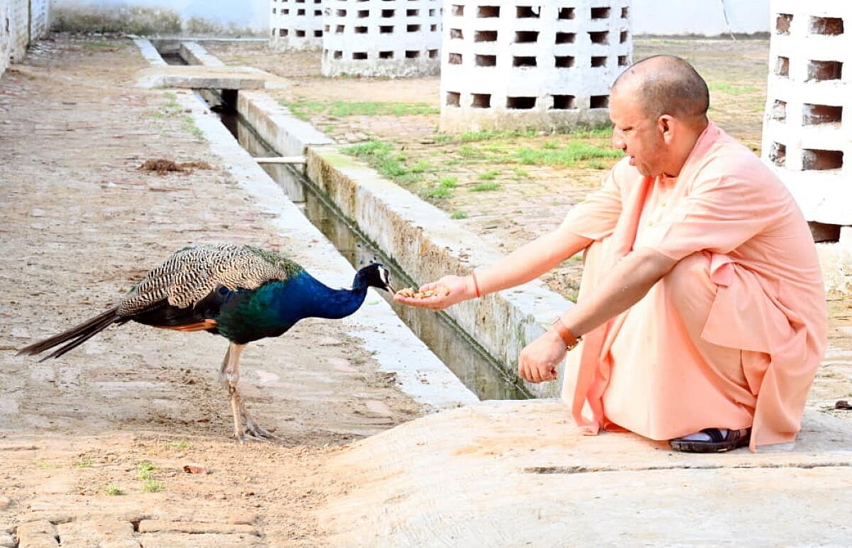 ರಾಮಮಂದಿರದ ಬಗ್ಗೆ ಹೆಮ್ಮೆಪಡದವರು ಭಾರತೀಯರೇ ಎಂಬುದು ಅನುಮಾನ: ಯೋಗಿ