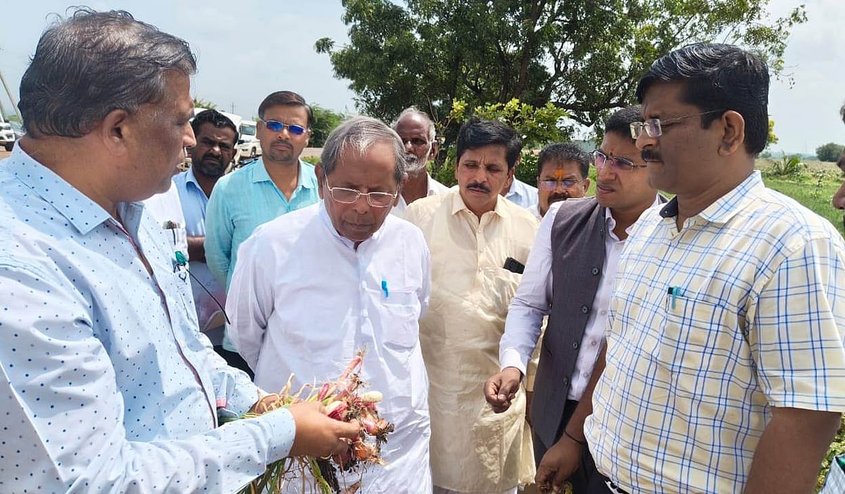 ಬಾಗಲಕೋಟೆ | ಅತಿವೃಷ್ಟಿ: ಬೆಳೆ ಹಾನಿ ವೀಕ್ಷಿಸಿದ ಶಾಸಕ ಮೇಟಿ