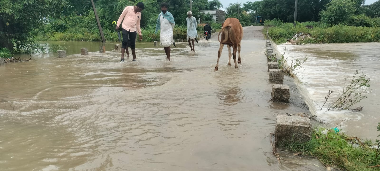 ಯರಗೋಳ ವ್ಯಾಪ್ತಿಯ ಕೋಟಗೇರಾ ಗ್ರಾಮದಿಂದ ಯಾದಗಿರಿ ಜಿಲ್ಲಾ ಕೇಂದ್ರಕ್ಕೆ ಸಂಪರ್ಕ ಕಲ್ಪಿಸುವ ಸೇತುವೆ ಮೇಲೆ ನೀರು ಹರಿಯುತ್ತಿರುವುದು