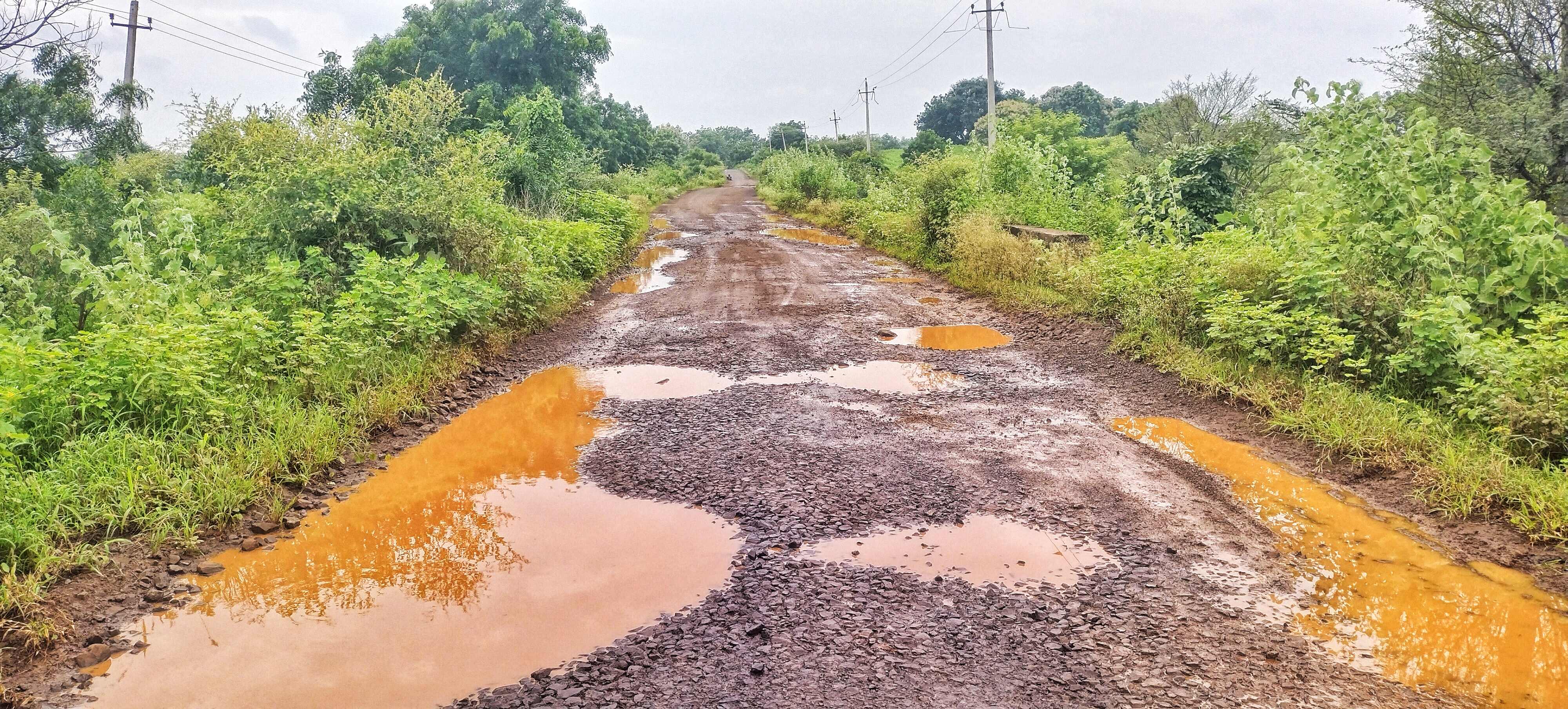 ಗ್ರಾಮದ ರಸ್ತೆಯಲ್ಲಿ ಗುಂಡಿಗಳು ಬಿದ್ದು ಮಳೆಯ ನೀರು ಸಂಗ್ರಹವಾಗಿದೆ