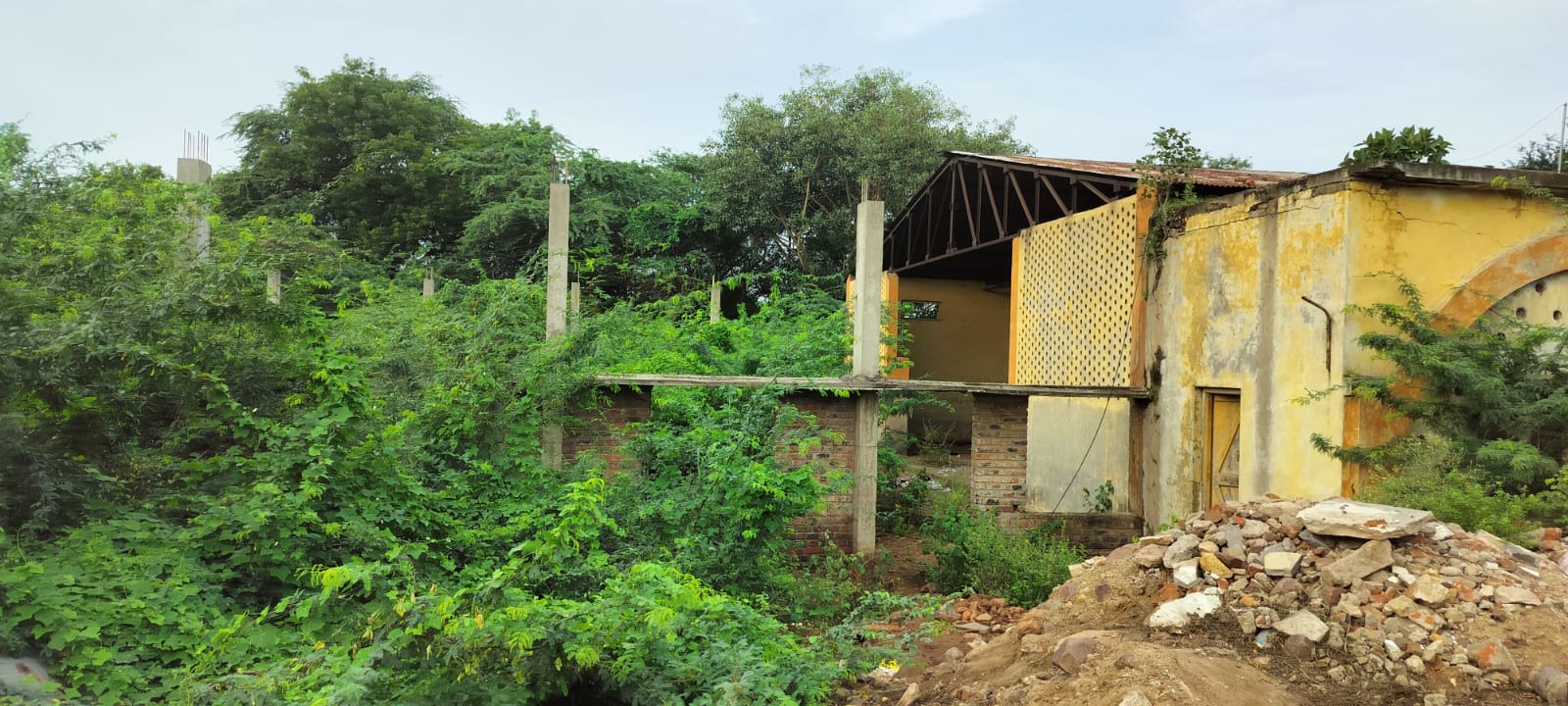 ಗುಳೇದಗುಡ್ಡದ ಕಂದಗಲ್ ಹನಮಂತರಾಯರ ರಂಗಮಂದಿರದ ಕಟ್ಟಡದ ಜಾಗದಲ್ಲಿ ಮುಳ್ಳು ಕಂಟಿ ಬೆಳೆದಿರುವುದು
