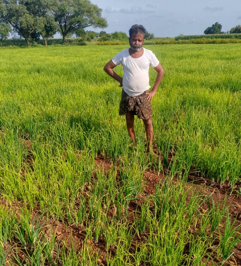 ಹರಪನಹಳ್ಳಿ ತಾಲ್ಲೂಕು ಚಿಗಟೇರಿಯಲ್ಲಿ ಎರಡು ಎಕರೆ ಈರುಳ್ಳಿ ಕಟಾವು ಮಾಡದಿರುವುದನ್ನು ತೋರಿಸಿದ ರೈತ ಚನ್ನಬಸಪ್ಪ