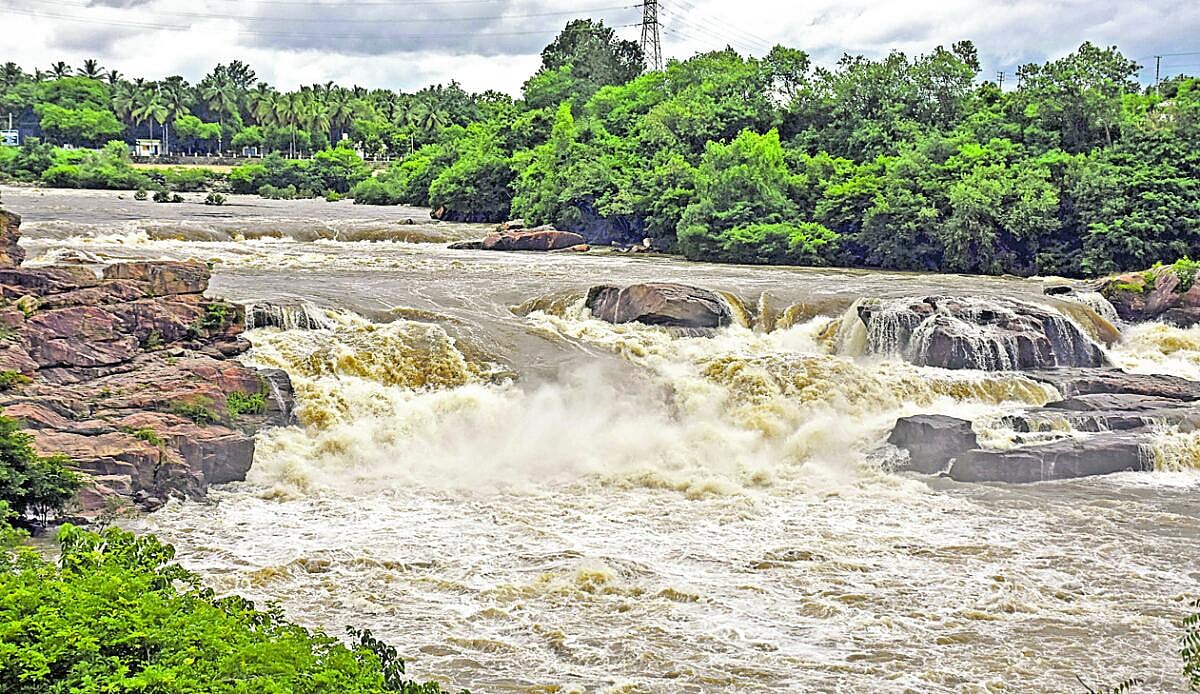 ಗೋದಾವರಿ–ಕಾವೇರಿ ನದಿಗಳ ಜೋಡಣೆ: ಪಾಲು ಹೆಚ್ಚಳಕ್ಕೆ ಪಟ್ಟು 