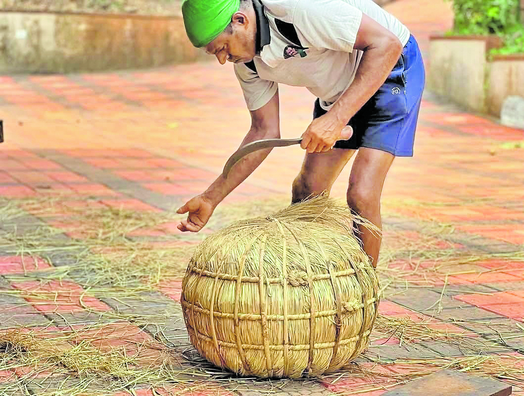 ಅಕ್ಕಿಮುಡಿ ಕಟ್ಟುವುದು ಹೀಗೆ ನೋಡಿ...