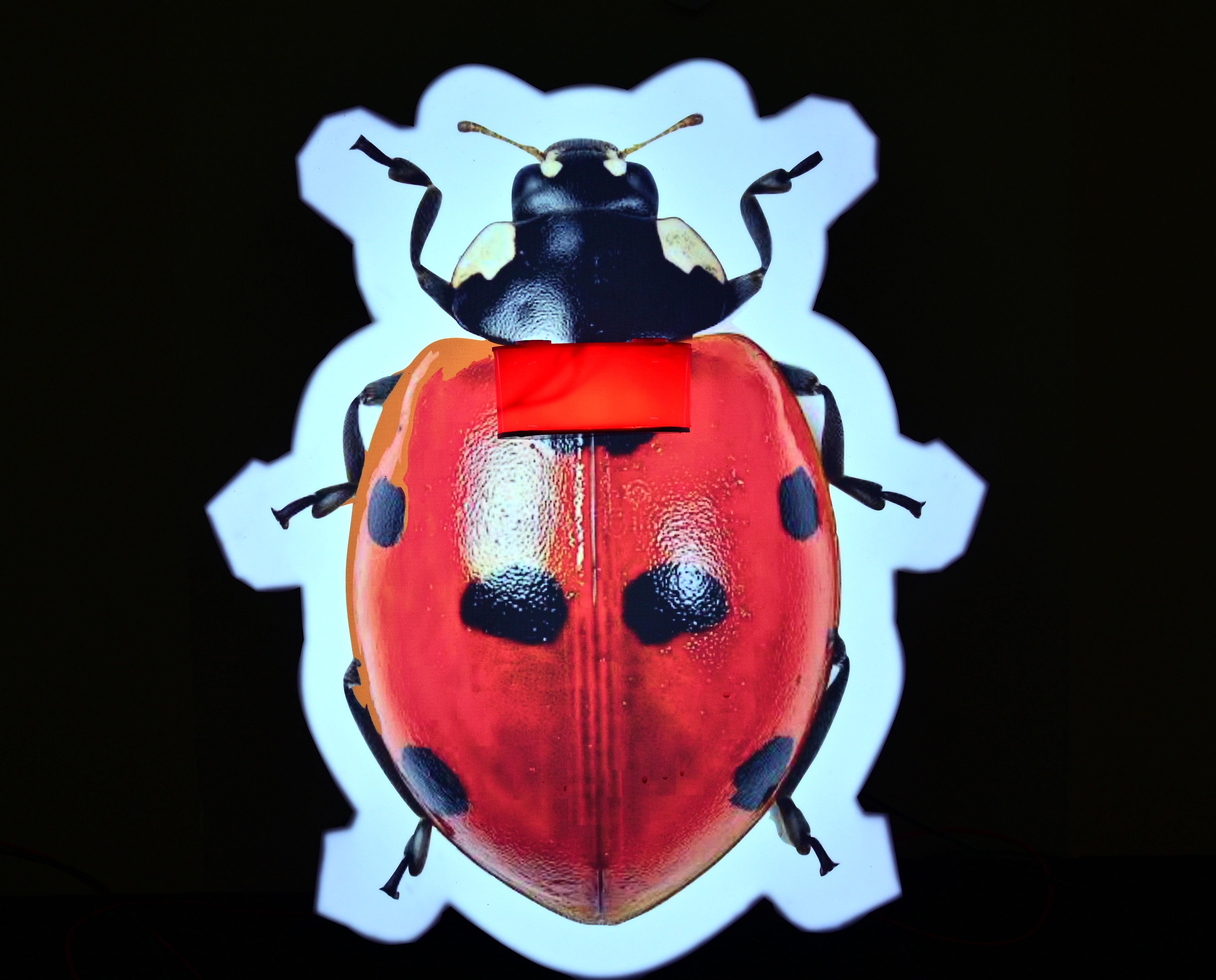 ರೊಬೊಟಿಕ್ಸ್ ಕೀಟ