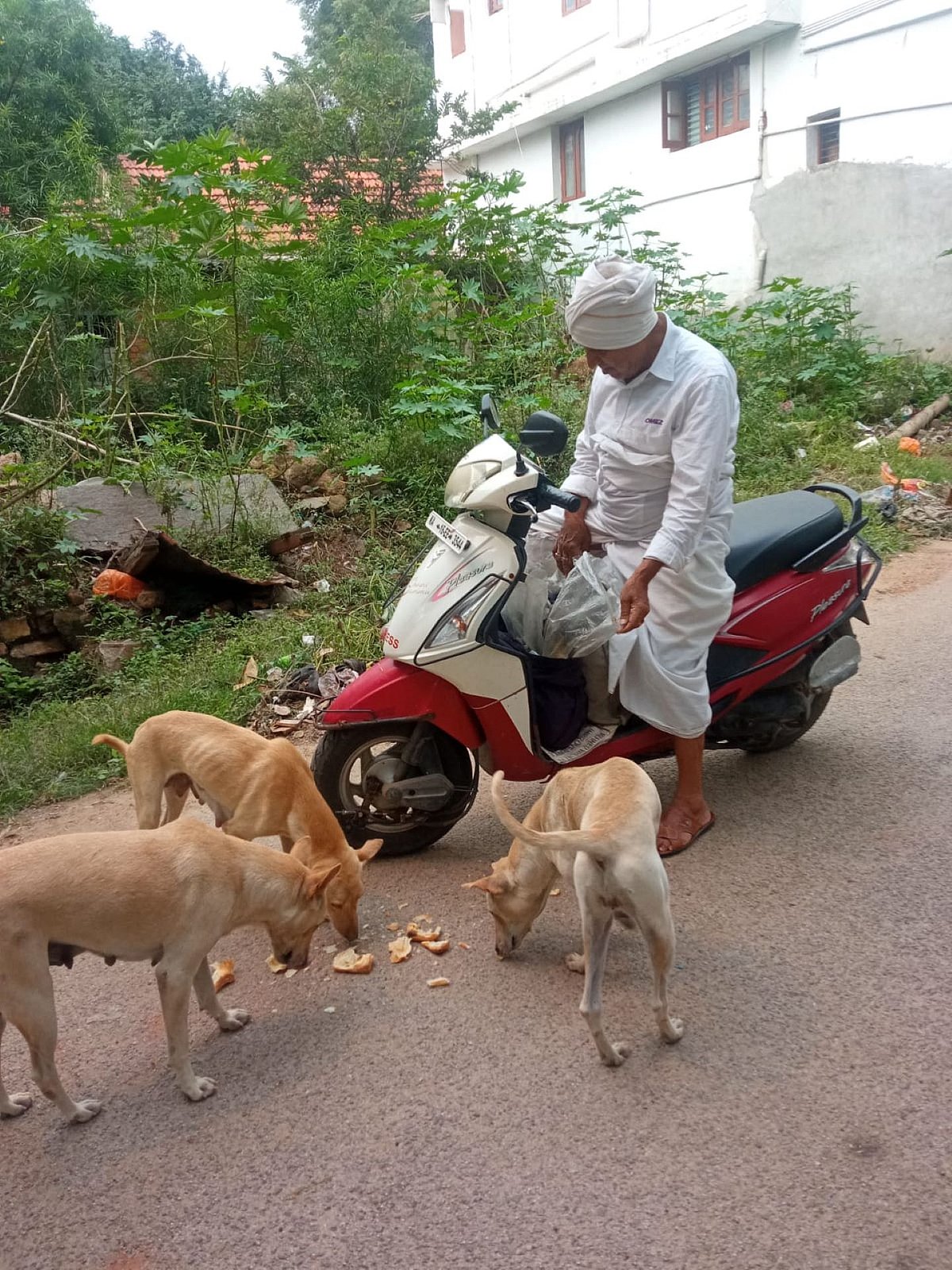 ಚಿತ್ರದುರ್ಗ: ಪ್ರಾಣಿ– ಪಕ್ಷಿಗಳಿಗೆ ಆಹಾರ ಹಂಚುವ ಮಲ್ಲೇಶಪ್ಪ!