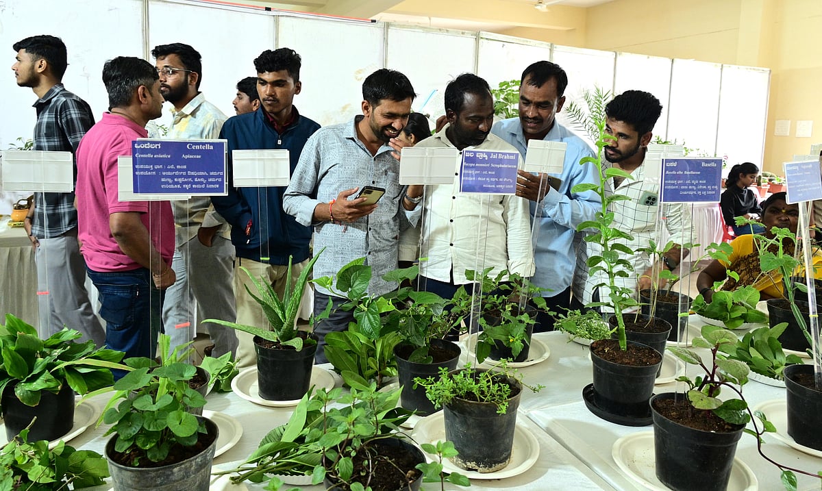 ಹುಬ್ಬಳ್ಳಿ: ತೋಟಗಾರಿಕೆ ವಿಭಾಗದಿಂದ ಆಯುರ್ವೇದ ಸಸಿಗಳ ಪ್ರದರ್ಶನ