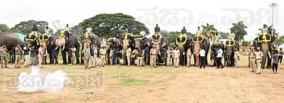 ಮೈಸೂರು ದಸರಾ ಮಹೋತ್ಸವದ ಪೂರ್ವಭಾವಿಯಾಗಿ ಸೋಮವಾರ ವಸ್ತು ಪ್ರದರ್ಶನ ಆವರಣದಲ್ಲಿ ಫಿರಂಗಿಗಳಿಂದ ಸಿಡಿಮದ್ದು ಸಿಡಿಸುವ ತಾಲೀಮು ನಡೆಯಿತು. 