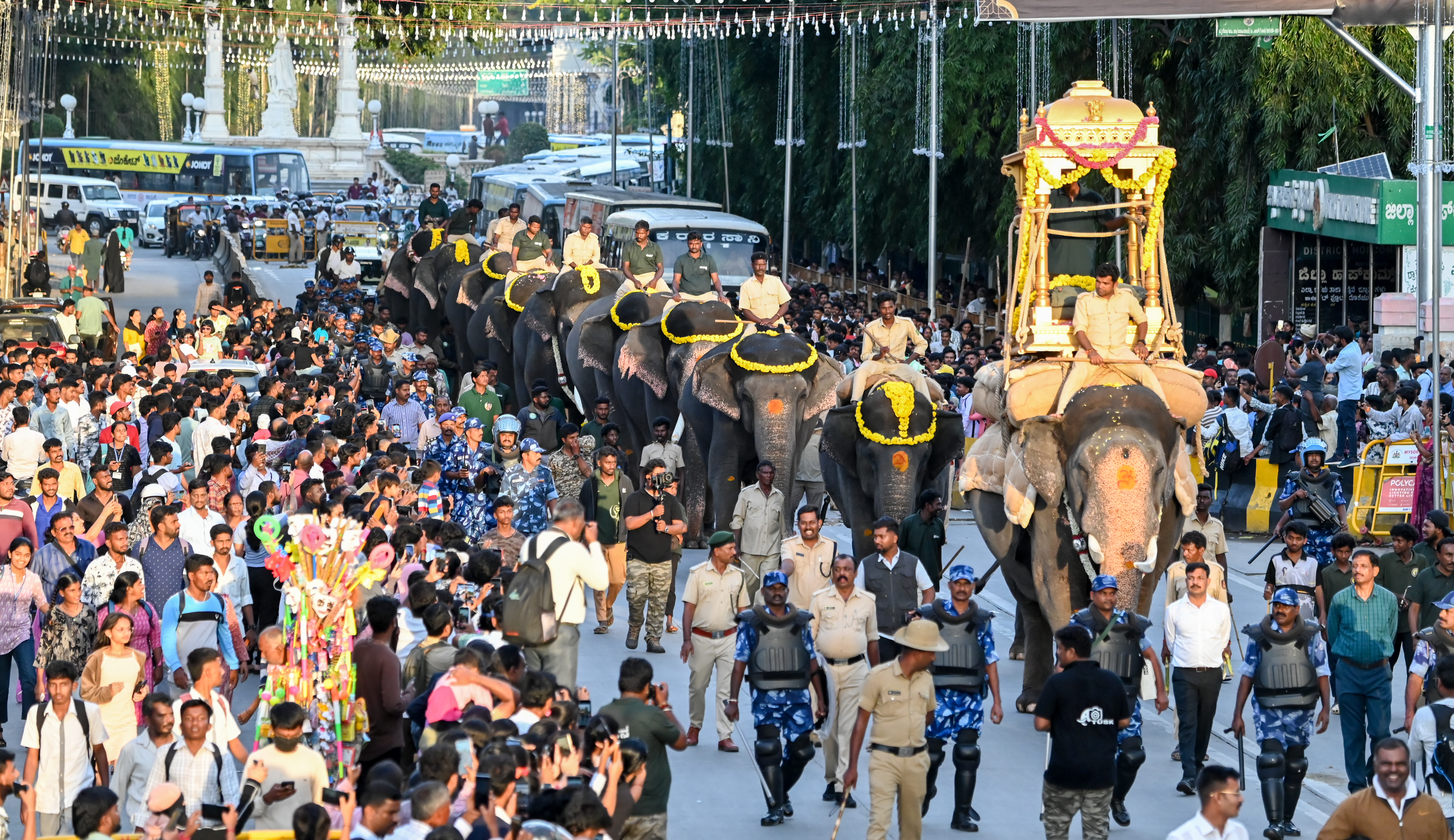 ಮೈಸೂರಿನಲ್ಲಿ ಗಜಪಡೆಯ ಕ್ಯಾಪ್ಟನ್‌ ‘ಅಭಿಮನ್ಯು’ಗೆ ಸೋಮವಾರ ಮರದ ಅಂಬಾರಿ ತಾಲೀಮು ನಡೆಯಿತು. ಅವನ ಕುಮ್ಕಿ ಆನೆಗಳಾದ ಹೇಮಾವತಿ ಹಾಗೂ ಕಾವೇರಿ ಜೊತೆ ಹೆಜ್ಜೆ ಹಾಕಿದ ಗಜಪಡೆಯನ್ನು ನಾಗರಿಕರು ಕಣ್ತುಂಬಿಕೊಂಡರು  ಪ್ರಜಾವಾಣಿ ಚಿತ್ರ: ಅನೂಪ್ ರಾಘ ಟಿ.