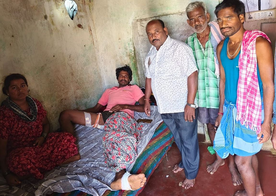 ದೊಡ್ಡಬಳ್ಳಾಪುರ: ಮರ ಏರಿದರೂ ಬಿಡದೆ ರೈತನ ಮೇಲೆ ದಾಳಿ ನಡೆಸಿದ ಕರಡಿ