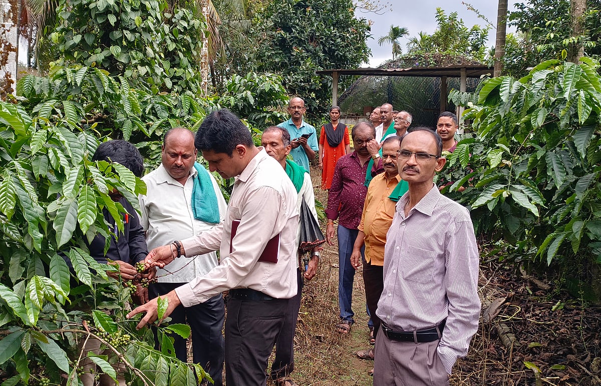 ಶೇ 51ಕ್ಕಿಂತ ಹೆಚ್ಚು ತೋಟಗಾರಿಕೆ ಬೆಳೆಗೆ ಹಾನಿ: ಅಂಜನ್ ಕುಮಾರ್ 