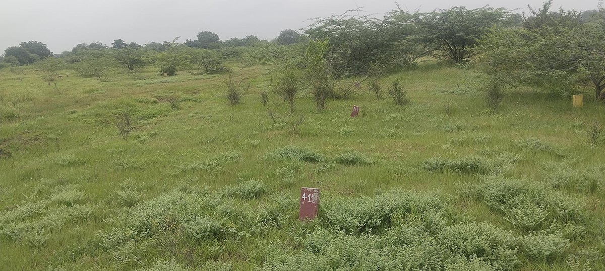 ಸಿಂದಗಿ | ಅಂತರಗಂಗಿ ಬಡಾವಣೆ; ಒಪ್ಪದ ನಿರಾಶ್ರಿತರು