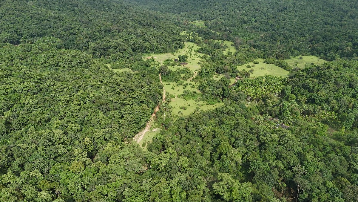 ಶರಾವತಿ ಪಂಪ್ಡ್ ಸ್ಟೋರೇಜ್ ಯೋಜನೆ: ಕೃಷಿಭೂಮಿ ಸ್ವಾಧೀನವಿಲ್ಲ; VM ವಿಜಯ್ ಸ್ಪಷ್ಟನೆ