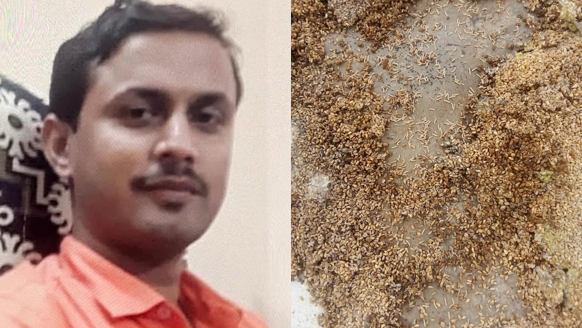 ವಿದ್ಯಾರ್ಥಿಗಳಿಗೆ ನೀಡಬೇಕಿದ್ದ 15 ಕ್ವಿಂಟಲ್‌ ಗೋಧಿ ಮಣ್ಣಲ್ಲಿ ಹಾಕಿದ್ದ ವಾರ್ಡನ್