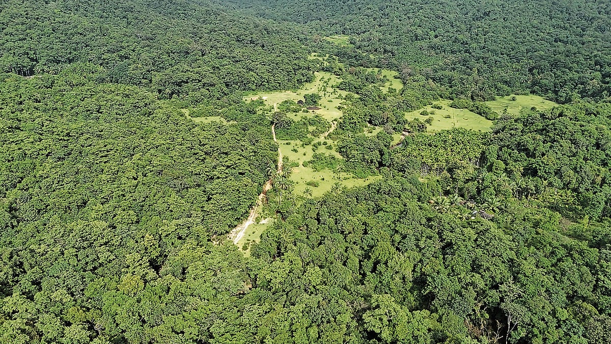 ಸಂಪಾದಕೀಯ: ಶರಾವತಿ ಕೊಳ್ಳದ ಹೊಸ ಯೋಜನೆ; ಹಳೆಯ ತಪ್ಪುಗಳು ಮರುಕಳಿಸದಿರಲಿ