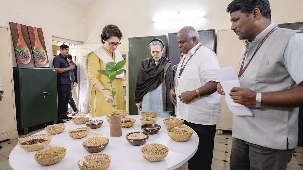 ವಯನಾಡ್: ಕಾಫಿ ಬೆಳೆಗಾರರ ಸಮಸ್ಯೆ ಆಲಿಸಿದ ಸೋನಿಯಾ, ಪ್ರಿಯಾಂಕಾ