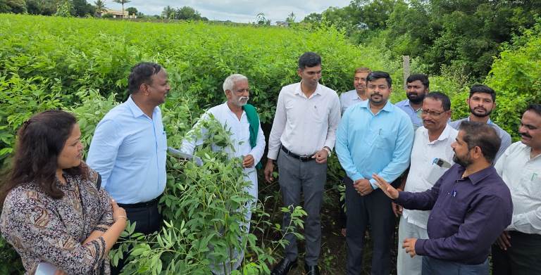 ಚಡಚಣ ತಾಲ್ಲೂಕಿನ ಧುಮಕನಾಳ ಗ್ರಾಮಕ್ಕೆ  ಶುಕ್ರವಾರ  ಜಿಲ್ಲಾಧಿಕಾರಿ ಕೆ.ಆನಂದ ಜಿಲ್ಲಾ ಪಂಚಾಯ್ತಿ ಮುಖ್ಯ ಕಾರ್ಯ ನಿರ್ವಾಹಕ ಅಧಿಕಾರಿ ರಿಷಿ ಆನಂದ ತಾಲ್ಲೂಕು ಉಪ ವಿಭಾಗಾಧಿಕಾರಿ ಅನುರಾಧಾ ವಸ್ತ್ರದ ತಹಶೀಲ್ದಾರ್‌ ಸಂಜಯ ಇಂಗಳೆ ಮಳೆಯಿಂದ ಹಾನಿಗೊಳಗಾದ ಬೆಳೆಗಳನ್ನು ಪರಿಶೀಲಿಸಿದರು.