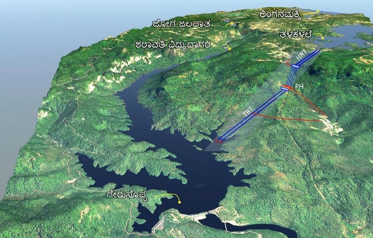 ಪಂಪ್ಡ್‌ ಸ್ಟೋರೇಜ್‌: ಸ್ಥಳ ಪರಿಶೀಲನೆ ವರದಿಗೆ ವನ್ಯಜೀವಿ ಮಂಡಳಿ ನಿರ್ದೇಶನ