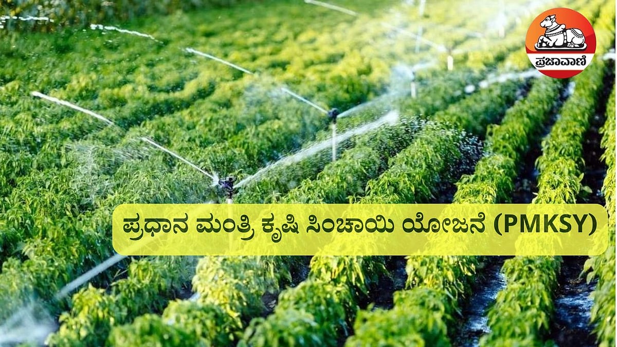 ಕೃಷಿ ಸಿಂಚಾಯಿ: ಹನಿ ನೀರಾವರಿ ಅಳವಡಿಸಿಕೊಂಡ ರೈತರಿಗೆ ಸಿಗಲಿದೆ ಸರ್ಕಾರದ ಸಹಾಯಧನ