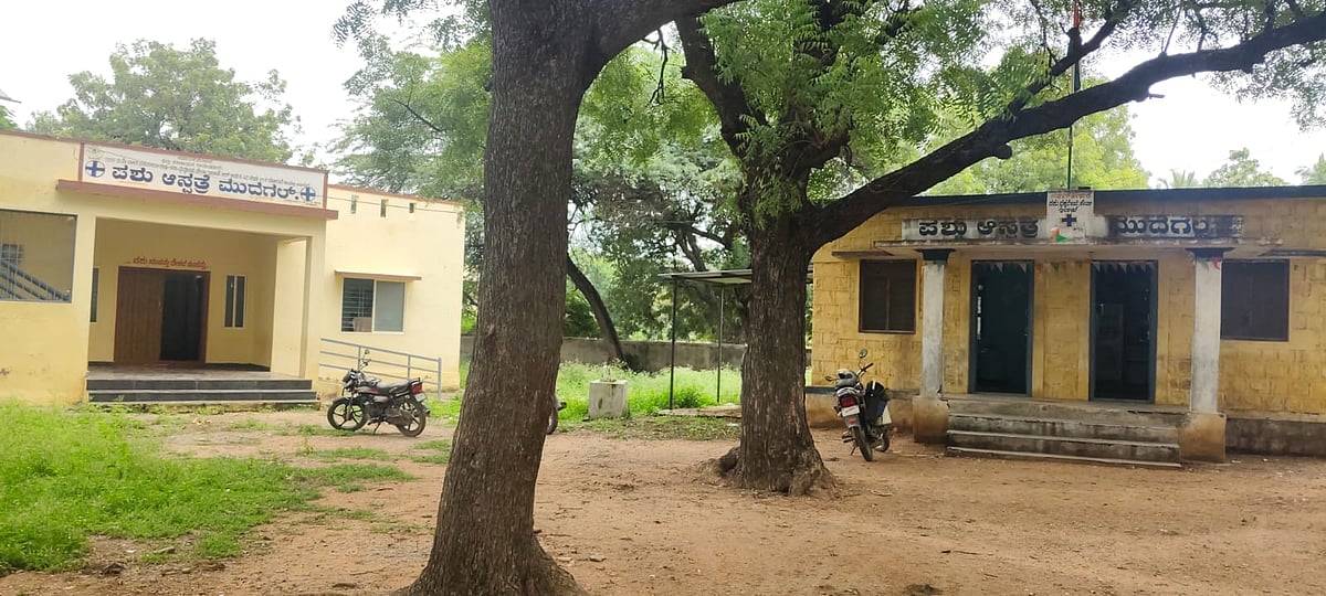 ಮುದಗಲ್ | ಪಶು ಆಸ್ಪತ್ರೆಗಳಲ್ಲಿ ಸಿಬ್ಬಂದಿ ಕೊರತೆ: ಚಿಕಿತ್ಸೆಗೆ ತೊಂದರೆ