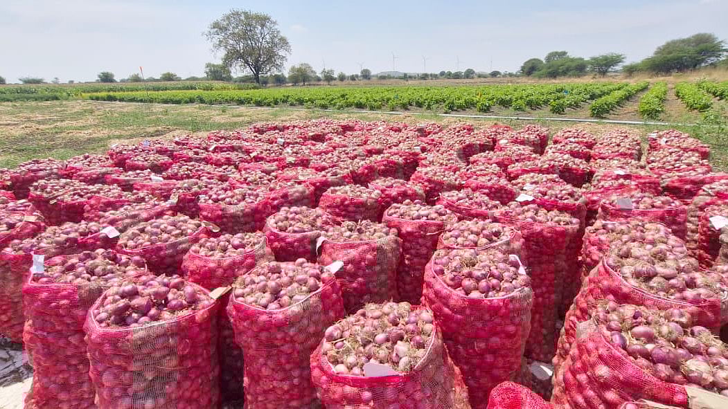 ಆಂಧ್ರ: ಮಳೆಗೆ ಬೆಳೆ ಹಾನಿ– ಈರುಳ್ಳಿ ಬೆಳೆಗಾರರಿಗೆ ಭರ್ಜರಿ ಪರಿಹಾರ ಘೋಷಿಸಿದ ಸಿಎಂ