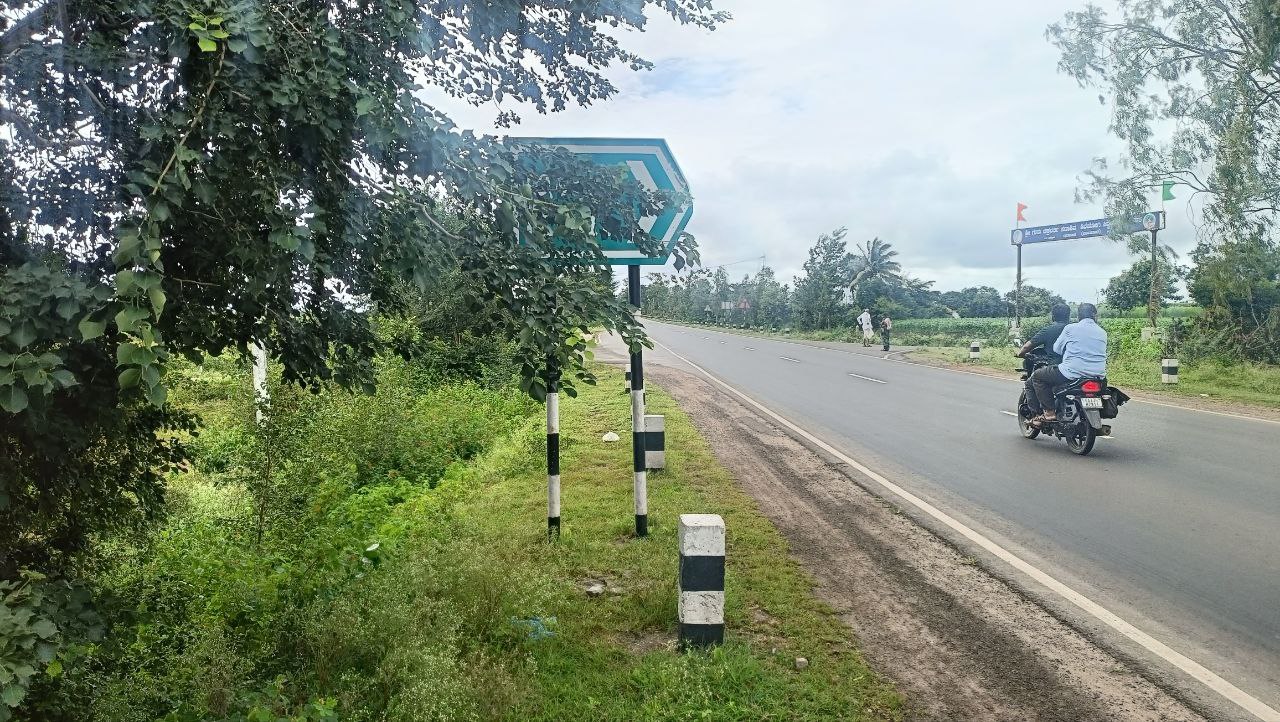 ಚಿಕ್ಕೋಡಿ ತಾಲ್ಲೂಕಿನ ನಾಗರಮುನ್ನೋಳಿ ಗ್ರಾಮದ ಬಳಿ ನಿಪ್ಪಾಣಿ– ಮುಧೋಳ ಹೆದ್ದಾರಿಯ ಸೂಚನಾ ಫಲಕಗಳು ಗಿಡದ ಟೊಂಗೆಗಳಲ್ಲಿ ಮುಚ್ಚಿಕೊಂಡಿವೆ  ಪ್ರಜಾವಾಣಿ ಚಿತ್ರ