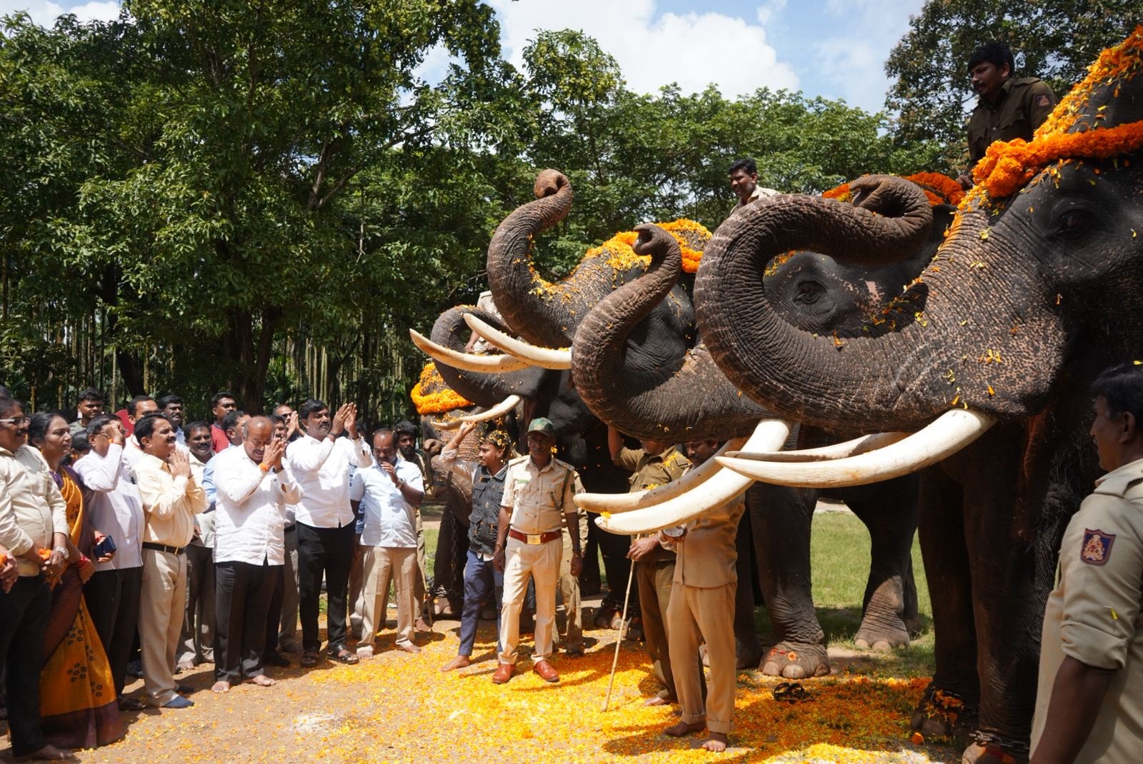 ಶಿವಮೊಗ್ಗ ದಸರಾ ಮೆರವಣಿಗೆಯಲ್ಲಿ ಭಾಗಿಯಾಗುವ ಸಕ್ರೆಬೈಲಿನ ಆನೆಗಳನ್ನು ಶನಿವಾರ ಪಾಲಿಕೆ ವತಿಯಿಂದ ಆಹ್ವಾನಿಸಲಾಯಿತು. ಶಾಸಕ ಎಸ್.ಎನ್.ಚನ್ನಬಸಪ್ಪ ಆಯುಕ್ತ ಮಾಯಣ್ಣ ಗೌಡ ಇದ್ದರು
