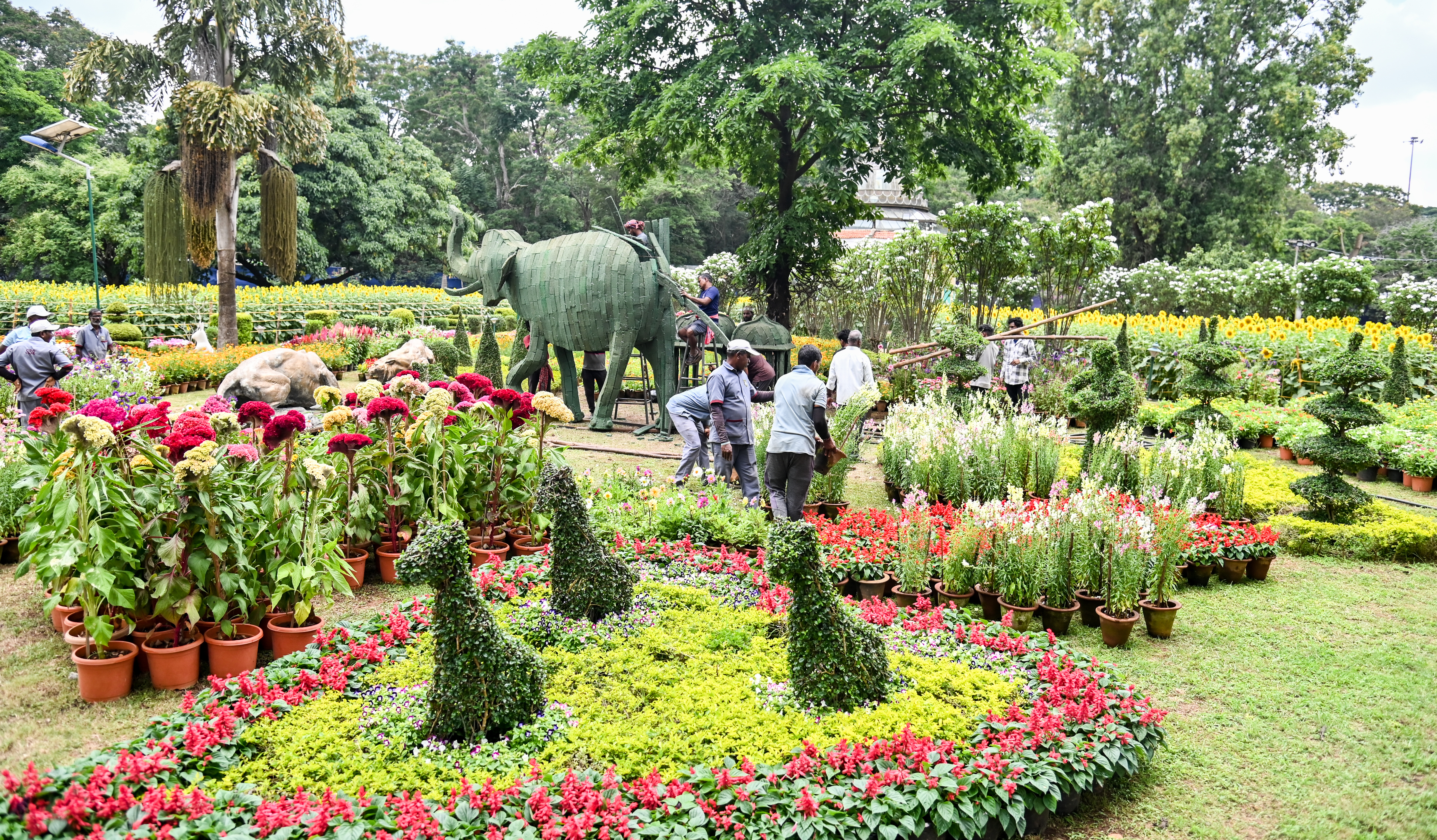 ಕುಪ್ಪಣ್ಣ ಉದ್ಯಾನದಲ್ಲಿ ಪುಷ್ಪ ಪ್ರದರ್ಶನಕ್ಕಾಗಿ ಕಾರ್ಮಿಕರು ಸಿದ್ಧತೆ ನಡೆಸಿದರು