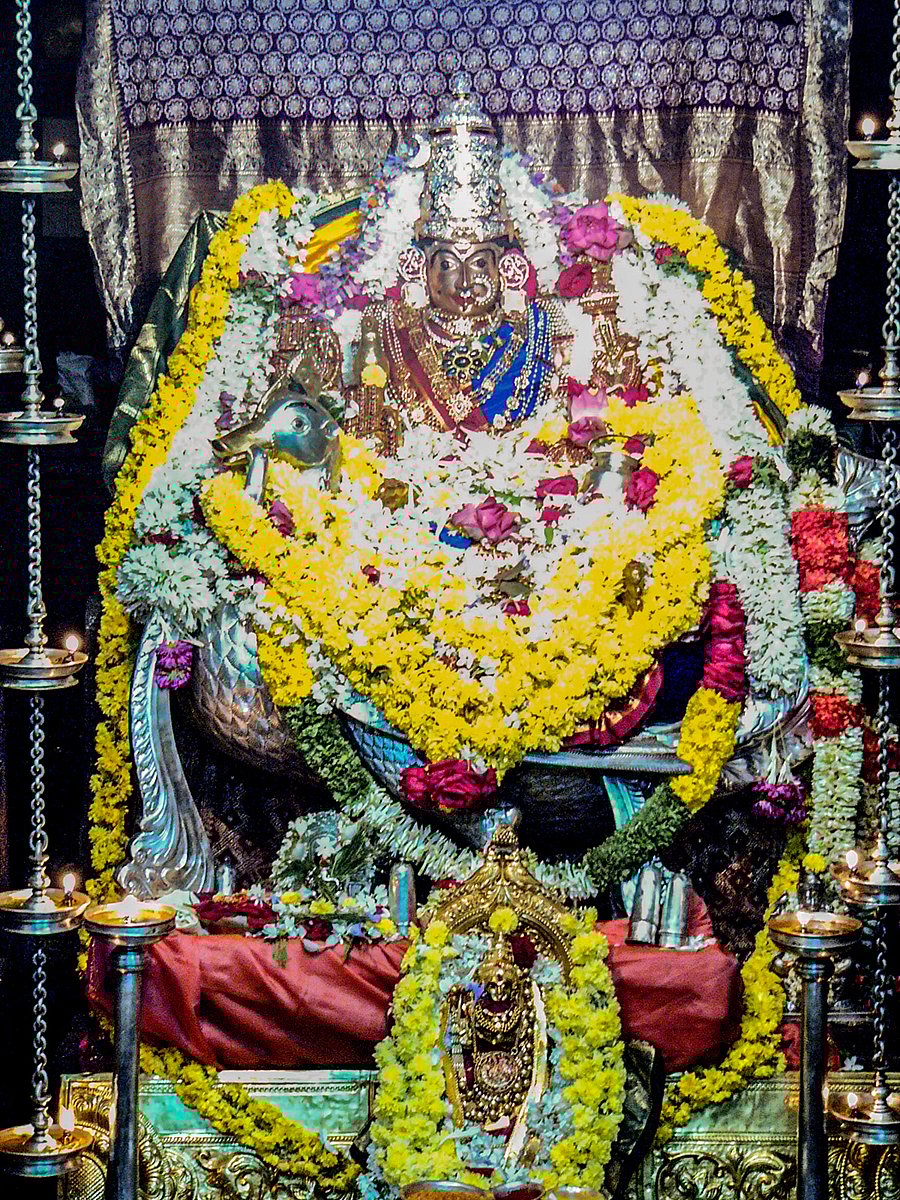 ಶೃಂಗೇರಿ: ಶಾರದಾಂಬೆಗೆ ಹಂಸವಾಹನ ಅಲಂಕಾರ 