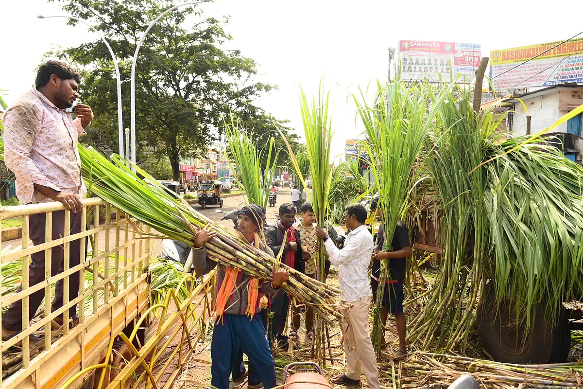ಬೆಳಗಾವಿ | ಗುಣಮಟ್ಟದ ಕಬ್ಬು: ರೈತರಿಗೆ ₹1,300 ಕೋಟಿ ಹೆಚ್ಚು ಆದಾಯ!
