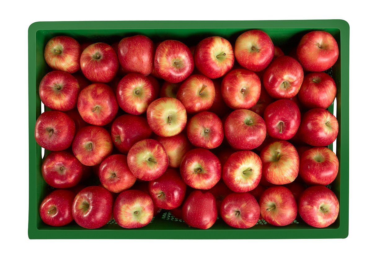 ಕಾಶ್ಮೀರದಿಂದ ಸೇಬು ಸಾಗಣೆ: ನೈರುತ್ಯ ರೈಲ್ವೆ ಹೊಸ ಕ್ರಮ 