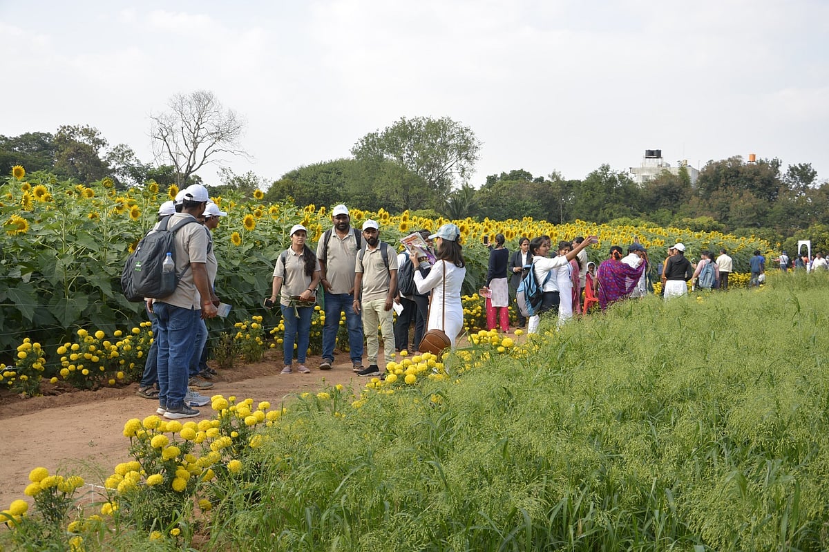 GKVK: ‘ಪರಿಸರದ ಕಡೆಗೆ ನಮ್ಮ ನಡಿಗೆ’ ಮಾರ್ಗದರ್ಶಿ ಪ್ರವಾಸ 