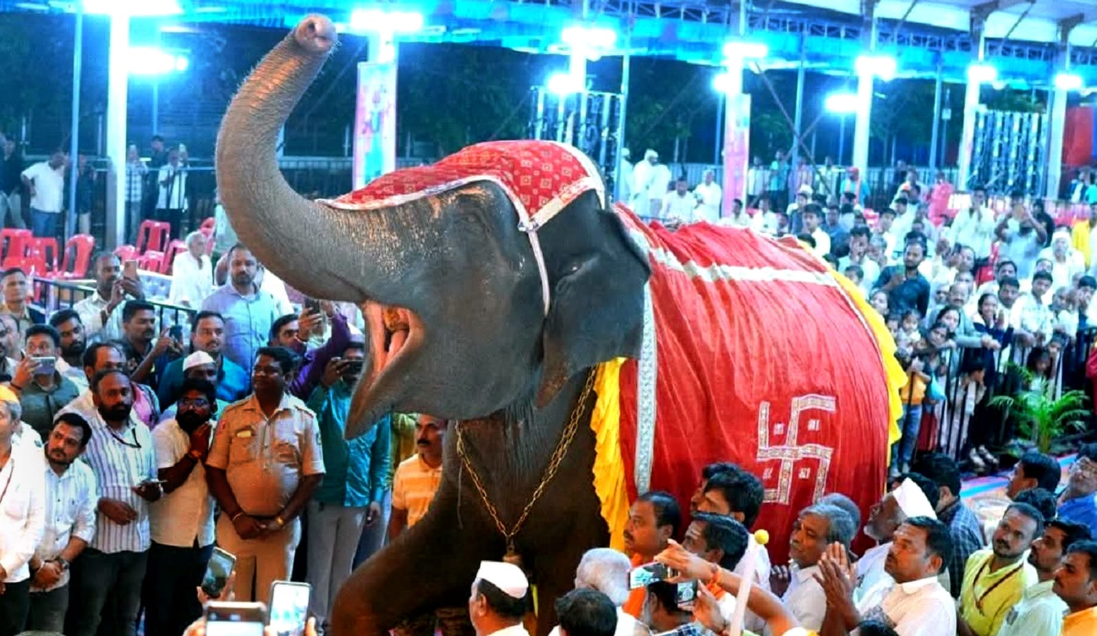 ಬಸವಕಲ್ಯಾಣದಲ್ಲಿ ಗುರುವಾರ ನಡೆದ ದಸರಾ ಧರ್ಮ ಸಮ್ಮೇಳನದಲ್ಲಿ ನಡೆದ ನಜರ್ ಸಮರ್ಪಣೆಯ ಕಾರ್ಯಕ್ರಮದಲ್ಲಿ ಆನೆಯೊಂದು ಸೊಂಡಿಲು ಎತ್ತಿ ರಂಭಾಪುರಿಶ್ರೀ ಅವರಿಗೆ ಗೌರವ ಸಲ್ಲಿಸಿತು