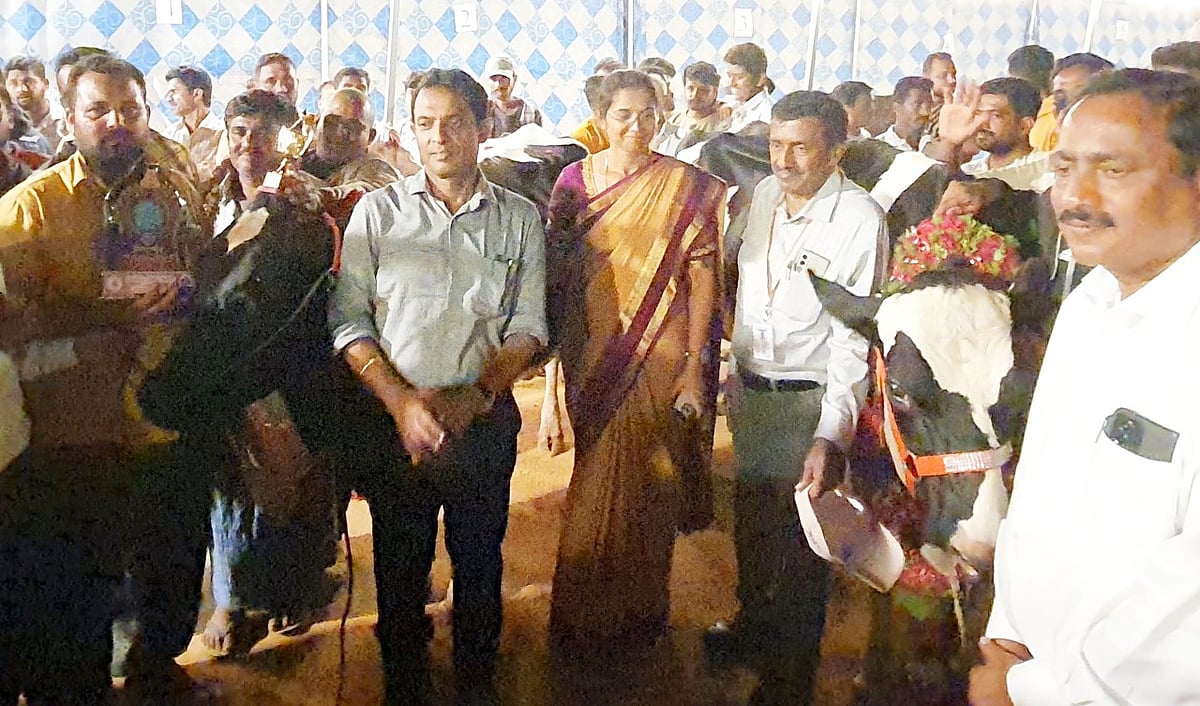 ದಸರಾ ಉತ್ಸವ|ಹಾಲು ಕರೆಯುವ ಸ್ಪರ್ಧೆ: 38 KG ಹಾಲು ಕೊಟ್ಟ ಹಸುವಿಗೆ ಪ್ರಥಮ ಬಹುಮಾನ