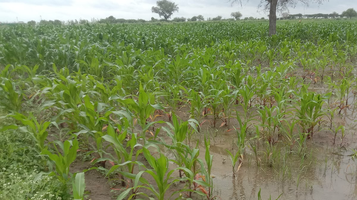 ನರಗುಂದ: ಬೆಳೆಹಾನಿ ಪರಿಹಾರ ವಿಳಂಬ– ರೈತರ ಆಕ್ರೋಶ