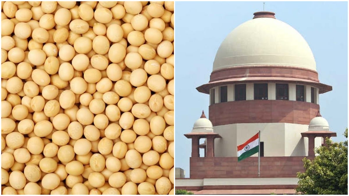 ಬೇಳೆಕಾಳುಗಳಿಗೆ ಪರ್ಯಾಯವಾಗಿ ಹಳದಿ ಬಟಾಣಿ ಆಮದು: ಕೇಂದ್ರದ ಪ್ರತಿಕ್ರಿಯೆ ಕೇಳಿದ SC