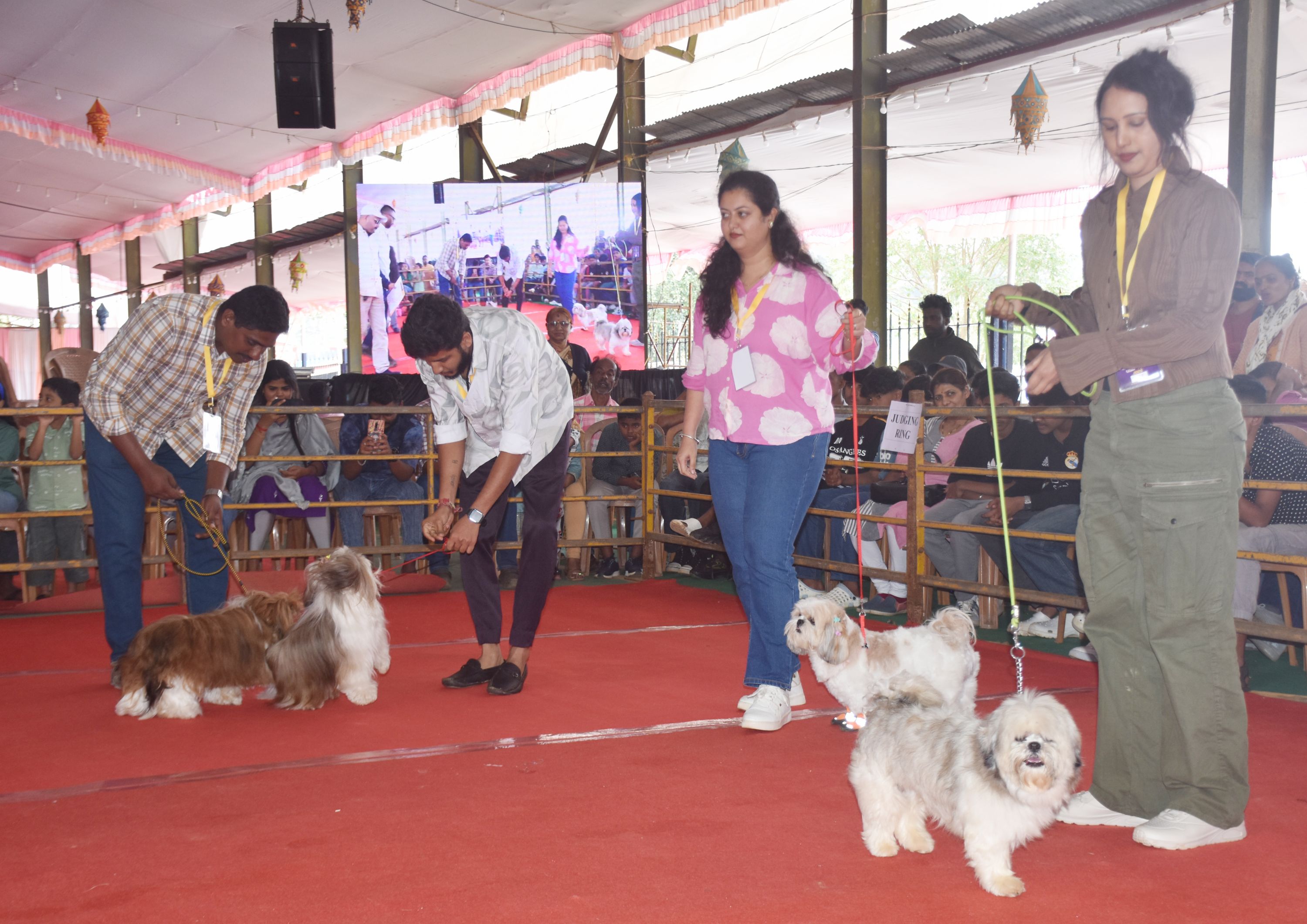 ಮಡಿಕೇರಿ ದಸರಾ ಉತ್ಸವದ ಅಂಗವಾಗಿ ಶುಕ್ರವಾರ ನಡೆದ ಯುವ ದಸರೆಯಲ್ಲಿ ಪುಟ್ಟ ಶ್ವಾನಗಳು ಗಮನ ಸೆಳೆದವು