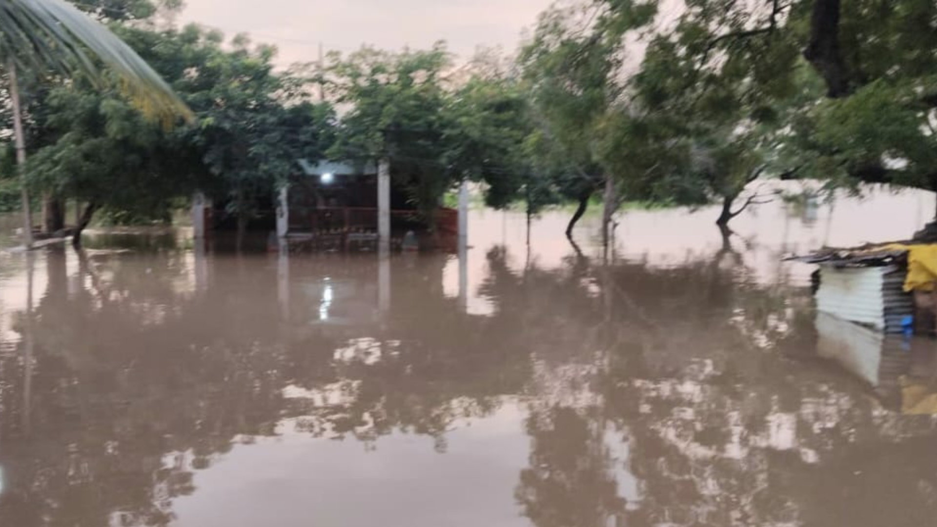 ಆಲಮೇಲ ತಾಲ್ಲೂಕಿನ ದೇವಣಗಾಂವ ಗ್ರಾಮದ ಸುತ್ತಲೂ ನೀರು ಆವರಿಸಿದೆ