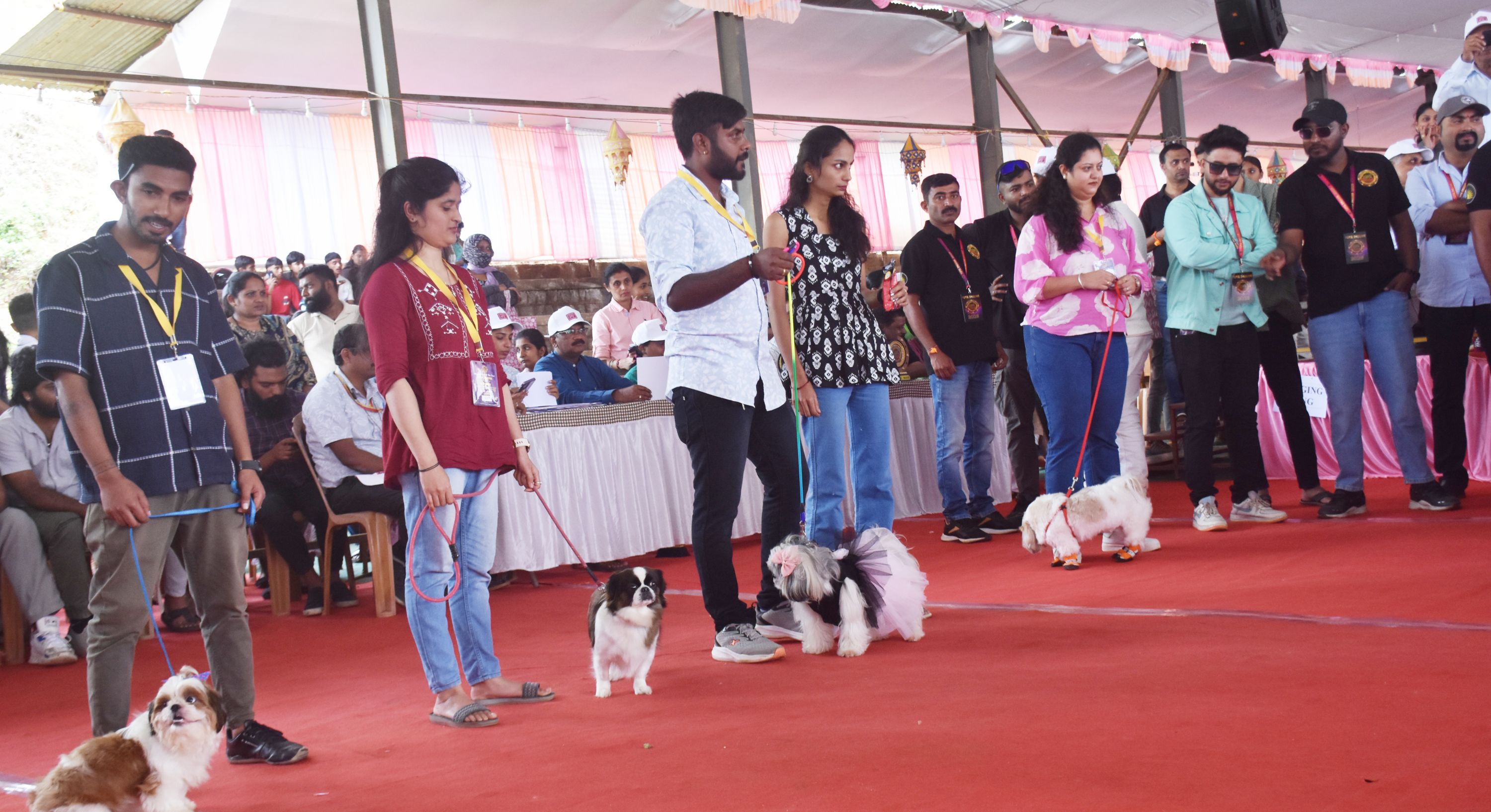 ಮಡಿಕೇರಿ ದಸರಾ ಉತ್ಸವದ ಅಂಗವಾಗಿ ಶುಕ್ರವಾರ ನಡೆದ ಯುವ ದಸರೆಯಲ್ಲಿ ಪುಟ್ಟಶ್ವಾನಗಳು ಗಮನ ಸೆಳೆದವು