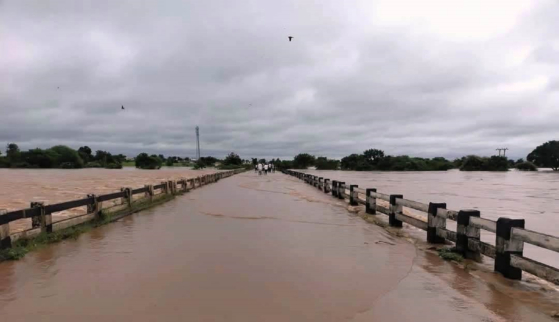 ಸೇಡಂ-ಚಿಂಚೋಳಿ ತಾಲ್ಲೂಕು ಸಂರ್ಪಕಿಸುವ ಸಟಪಟನಹಳ್ಳಿ ಸೇತುವೆ ಮೇಲೆ ಕಾಗಿಣಾ ನದಿ ನೀರು ಹರಿಯುತ್ತಿರುವುದು