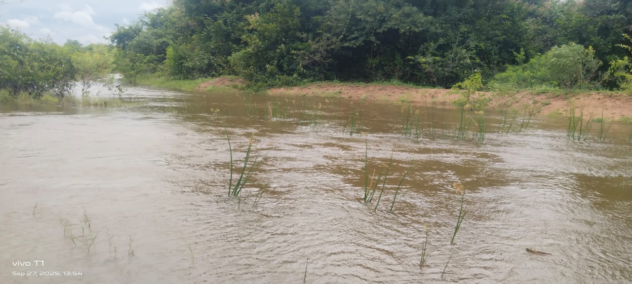 ಯಲಬುರ್ಗಾ ತಾಲ್ಲೂಕು ಶಿಡ್ಲಭಾವಿ ಗ್ರಾಮದ ಊರಹಳ್ಳ ಭರ್ತಿಯಾಗಿ ರಸ್ತೆ ಮೇಲೆ ಹರಿಯುತ್ತಿರುವದು ಶನಿವಾರ ಕಂಡು ಬಂತು 